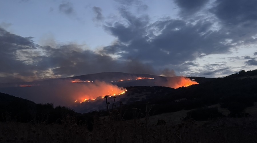 Μαίνεται η μεγάλη πυρκαγιά στο Δαμάσι - Γλύτωσαν τα ποιμνιοστάσια